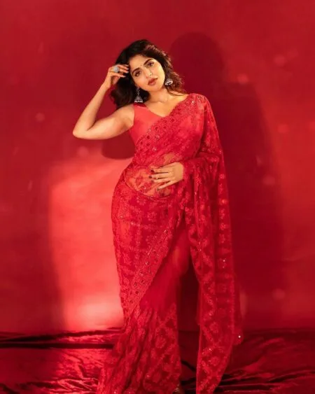 Pure soft organza silk saree with stitched blouse